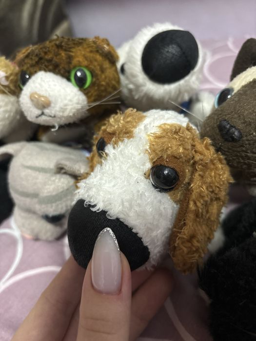 Котята и щенята игрушки