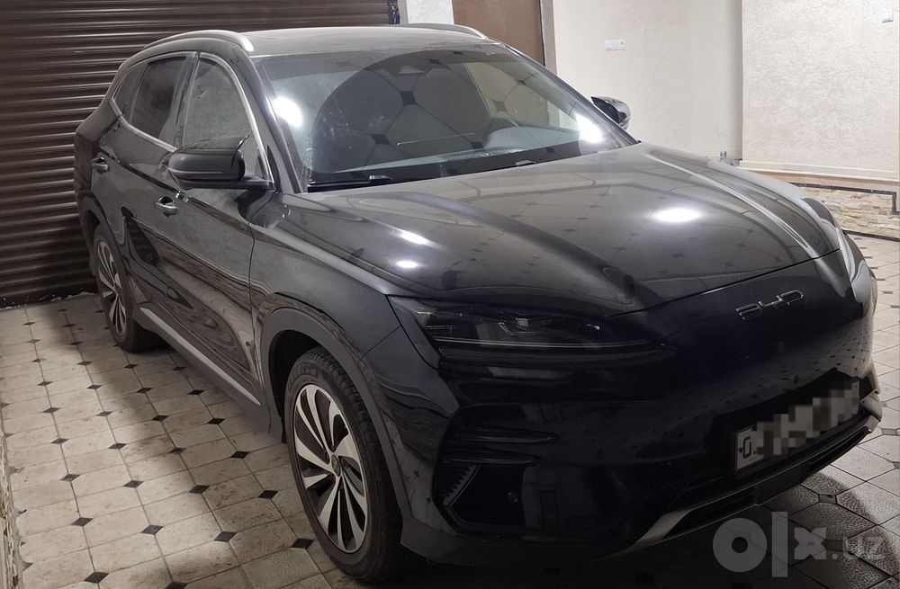 Byd chempion 2024  краска тоза