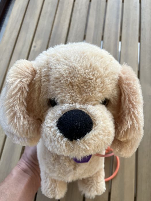 Noriel Pets catel interactiv