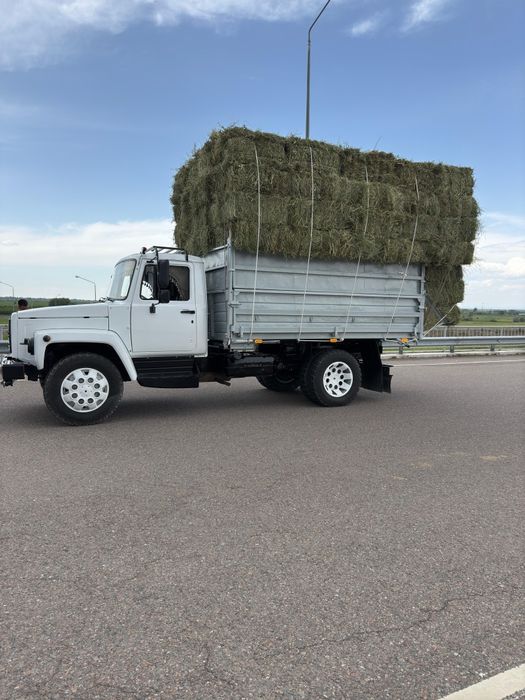 Сено Люцерна с доставкой