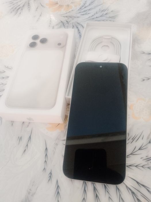 iPhone 17 pro max