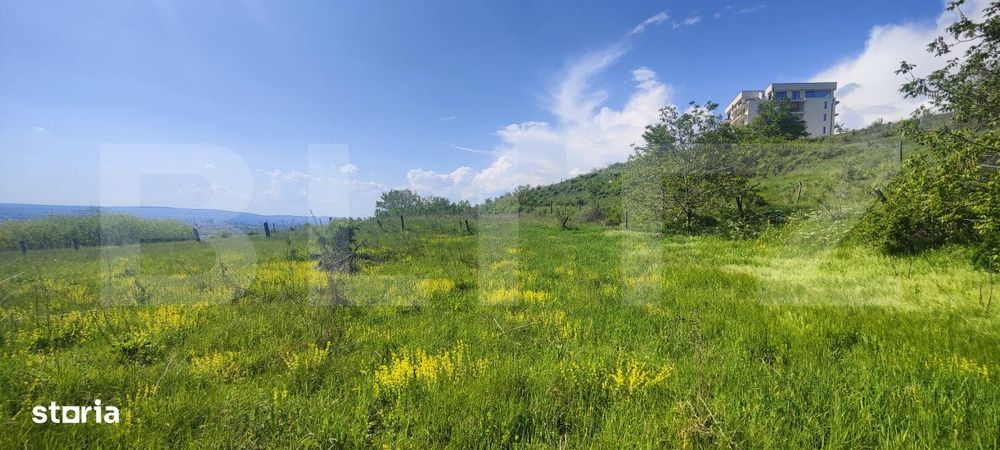 Teren Panoramic 15.500 mp – Investitie sau Dezvoltare, Zona Aleea Ma