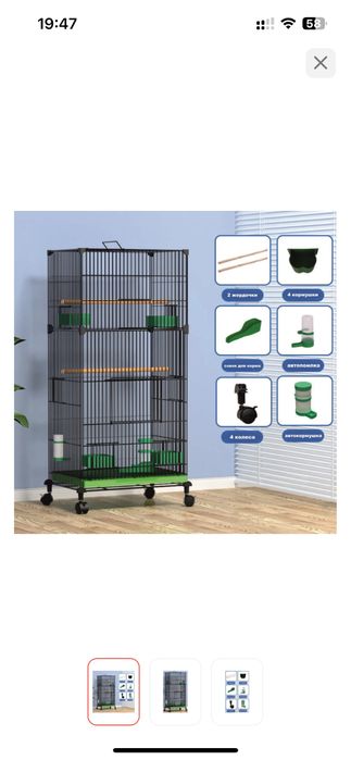 Ожареловый попугай с клеткой