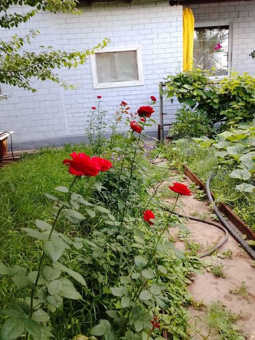 Продам коттедж на 91 кв