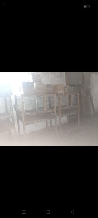 Клетки для кроликов