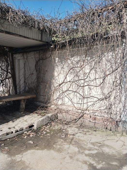 Продам коттедж. В Спутнике. . Земли 5,6 соток. 3 ком. Дом (деревянный)