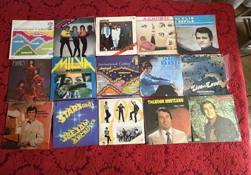 Discuri vinil de colectie