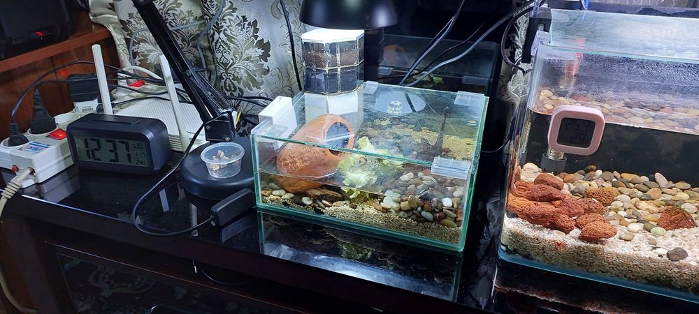 Продаются аквариумы.