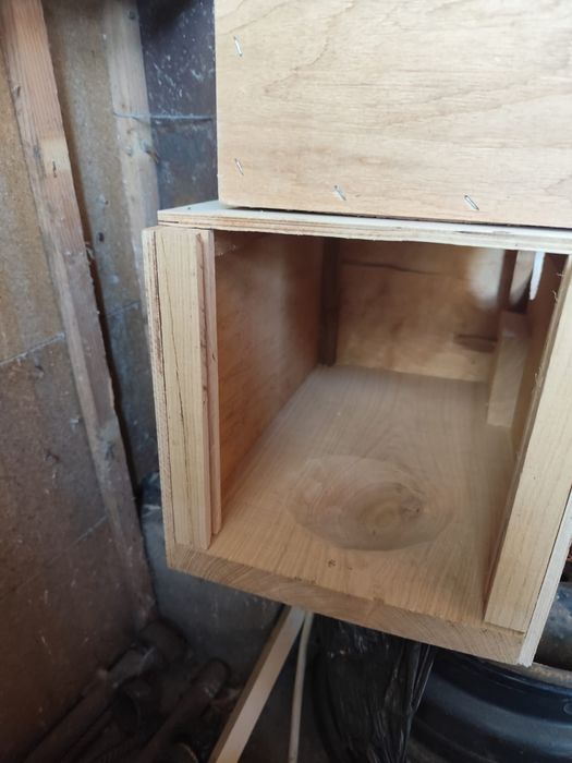 Cuiburi papagali și veverițe