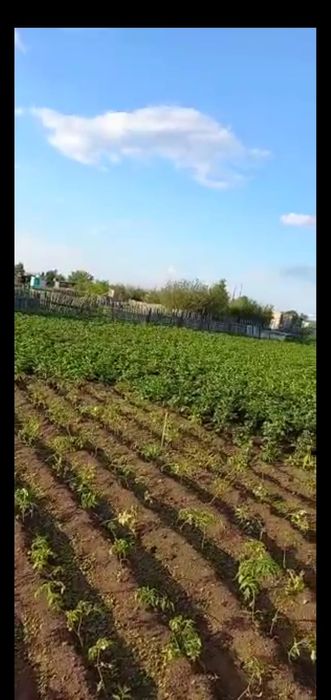 Продам дачу на ПК Союз