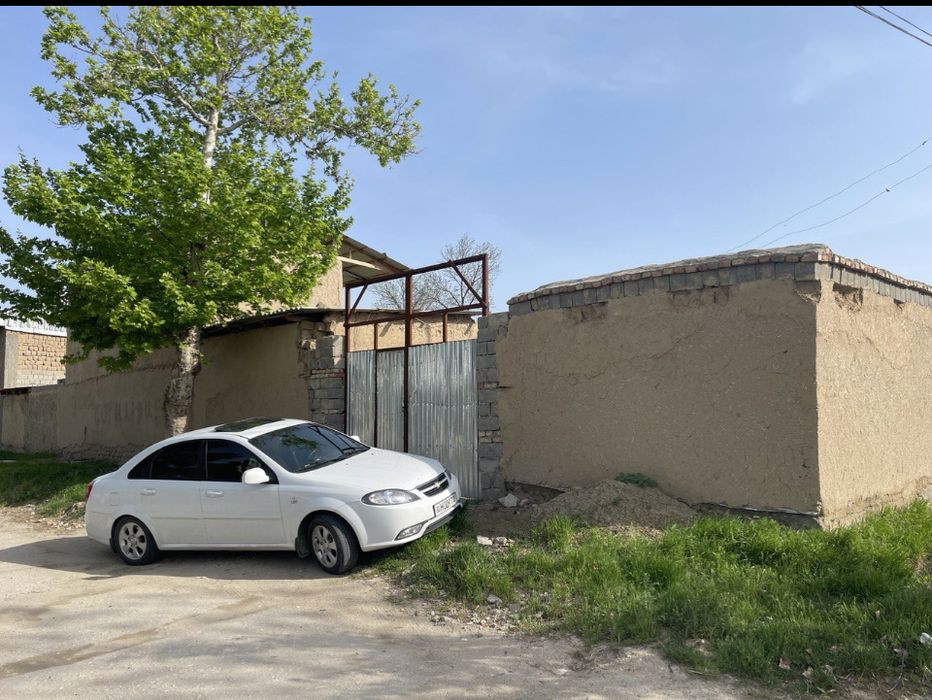 Земля с фруктовыми деревьями