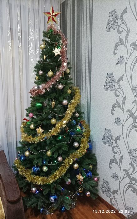 Ёлка. Новогодние ёлки.