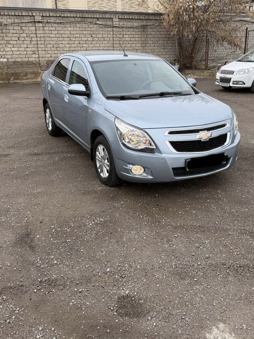 кобальт сотилади йили 2020 делфин