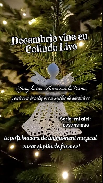 Profesionist vocal vă Colindă Cluj