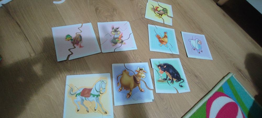 Set de puzzle - pachet