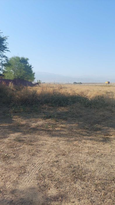 земельный участок