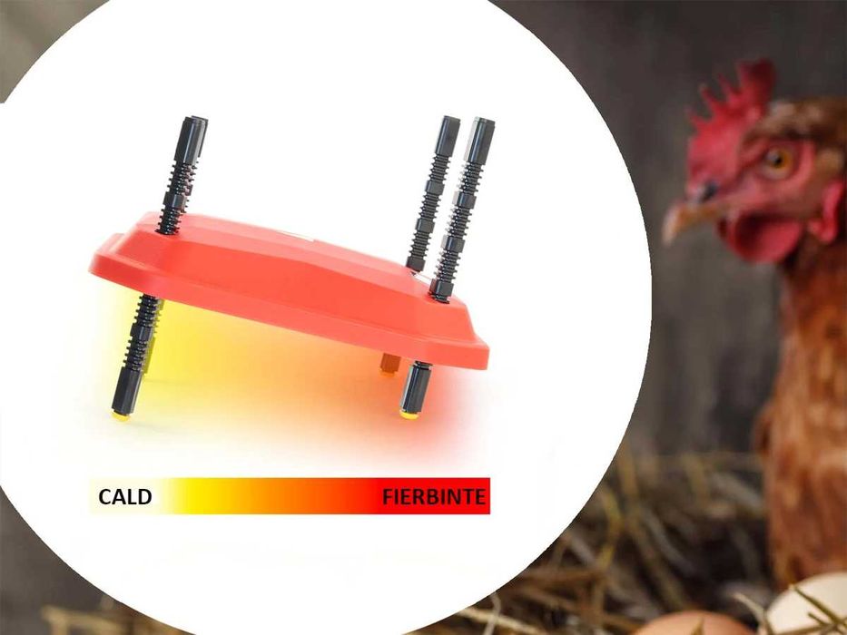 Încălzitor brooder pui cu LED, control temperatură 30 pui 16x16 inch