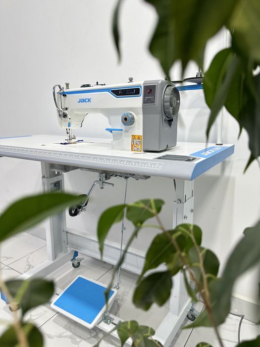 Tõg’richok  Jack - F6