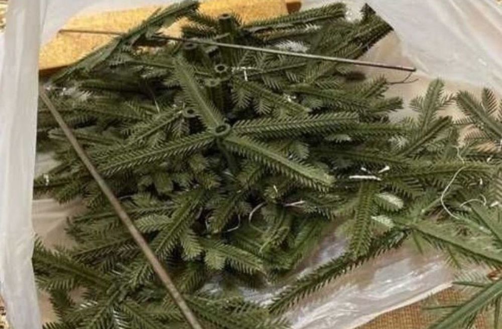 Ёлка новый год Россия см 150 sm Archa yangi yil Rossiya Арча янги йил