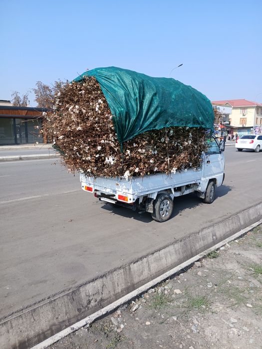 Ğõzapoya sotamiz