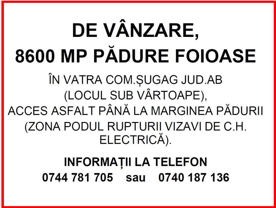 Vânzare teren/pădure loc. Șugag - Jud. Alba - Vedere 4