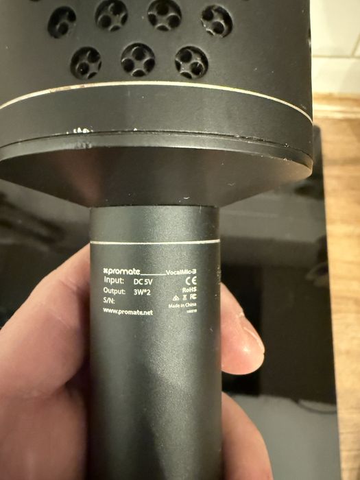 Microfon cu difuzor si mp3