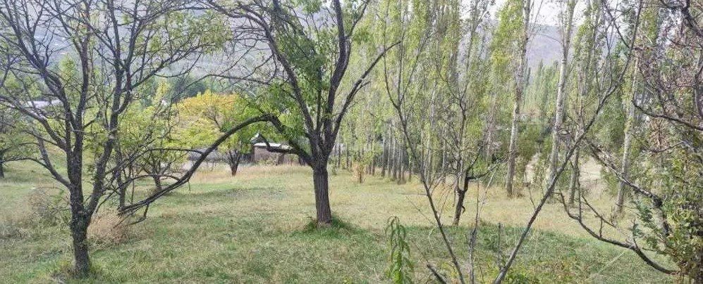 Продается земля 22 сотки Чимган