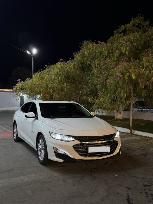 Malibu primier