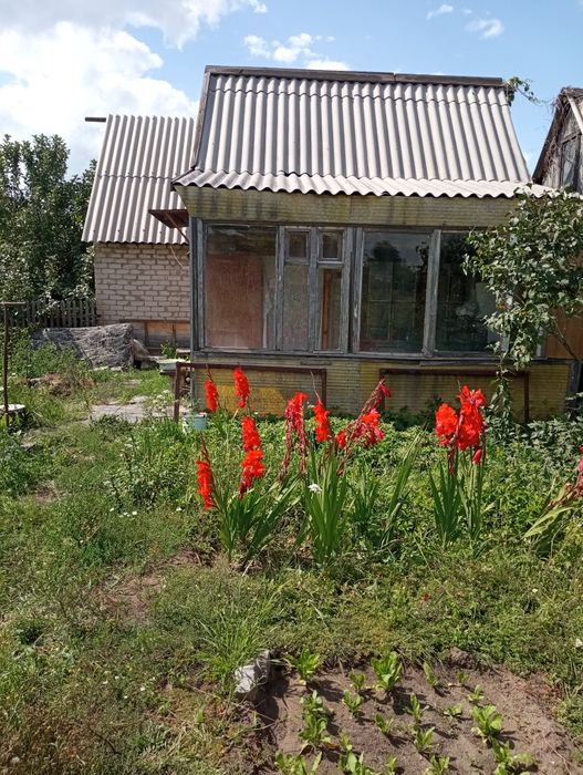 Продам Дача сад Здоровье