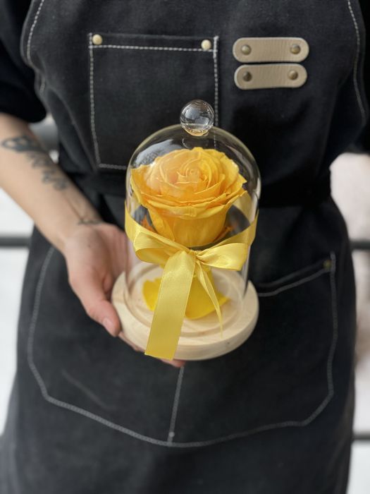 Роза под куполом