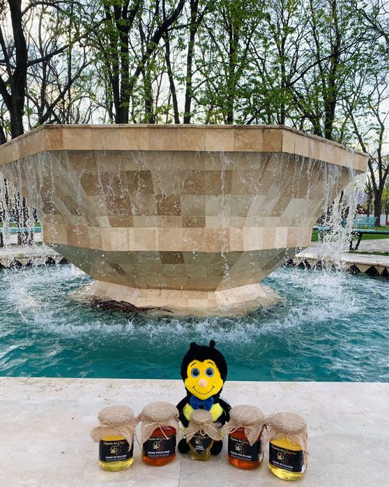 Vand miere BIO - Arad