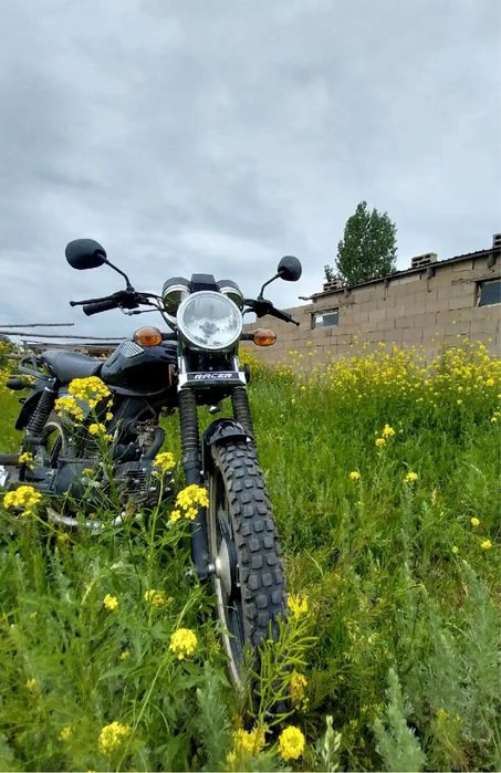Рейсер 110 альфа