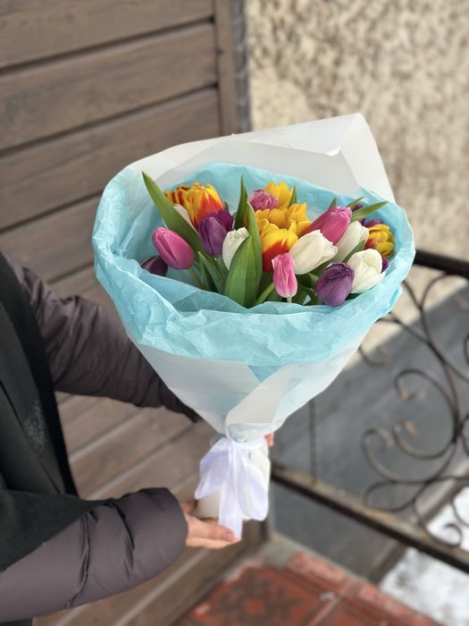 Тюльпаны голландские