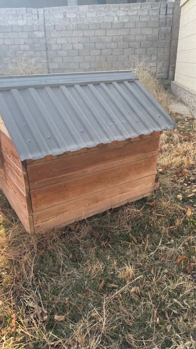 Будка, иттің уйі, город Шымкент