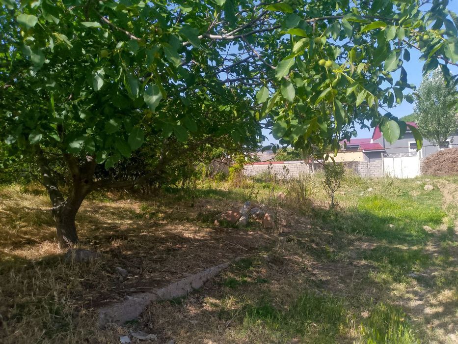 3 sotixli yer naydoni