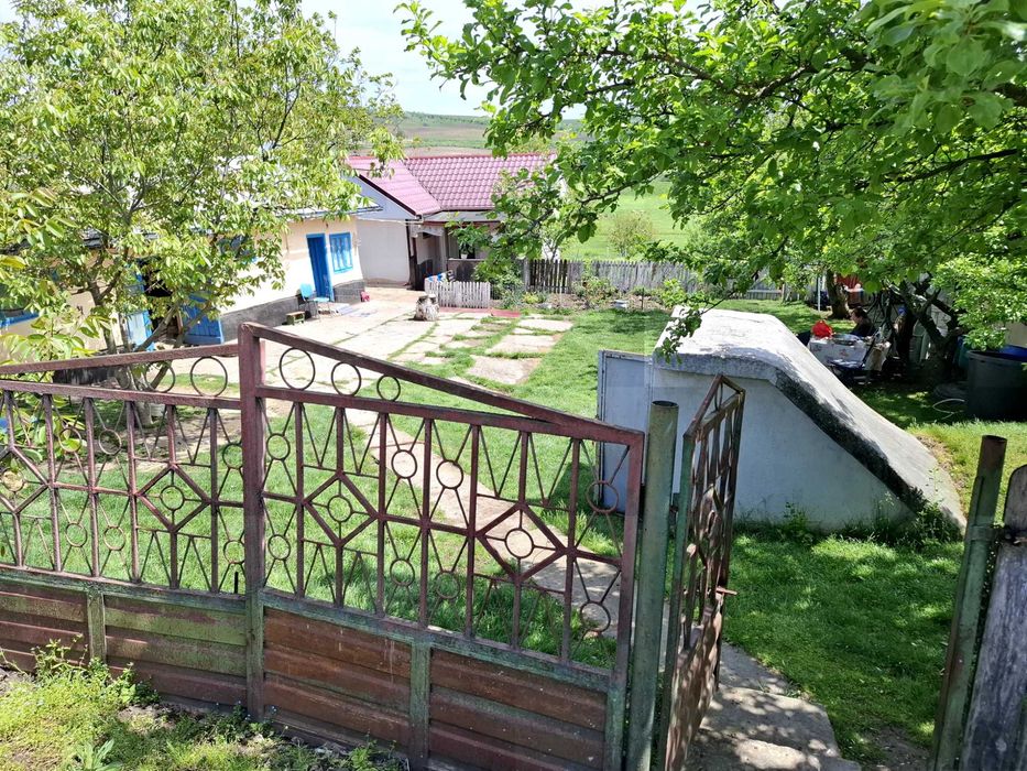 Vand casa in sat Cucuteni,com.Letcani,jud.Iasi