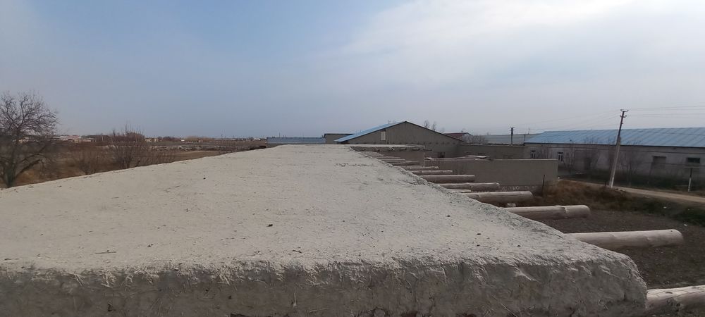 БУХОРО вилояти Когон тумани