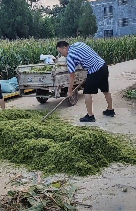 Драбилка Жоди Ут маудалагич