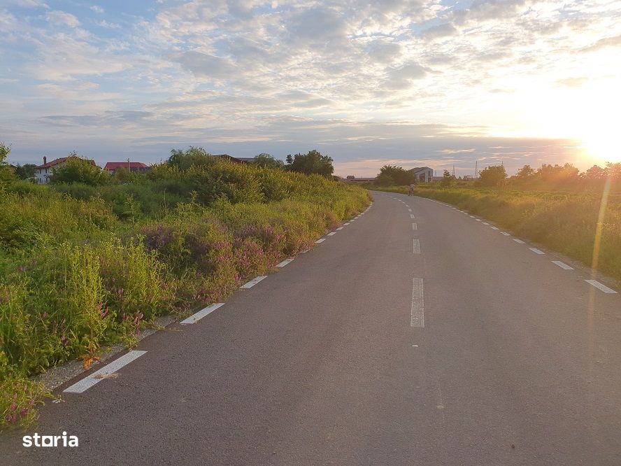 Vanzare teren Balotesti-Lahovari,strada Cameliei,intre case,31000 euro