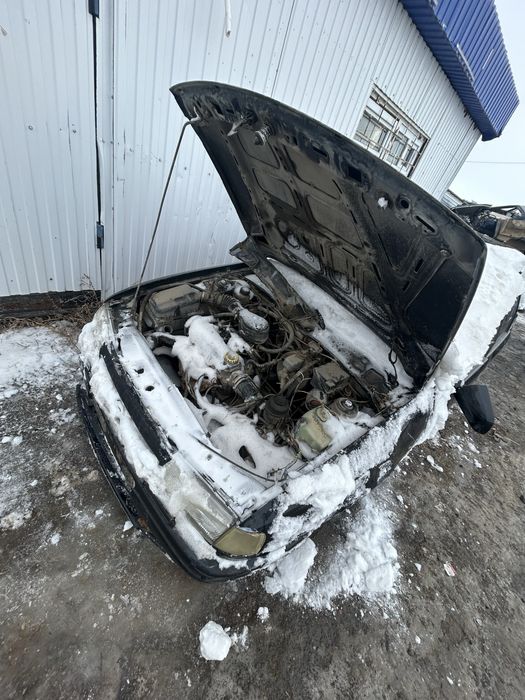 Актобе. Кок. Разбор