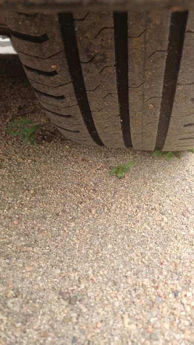 Продам комплект дисков на R15.