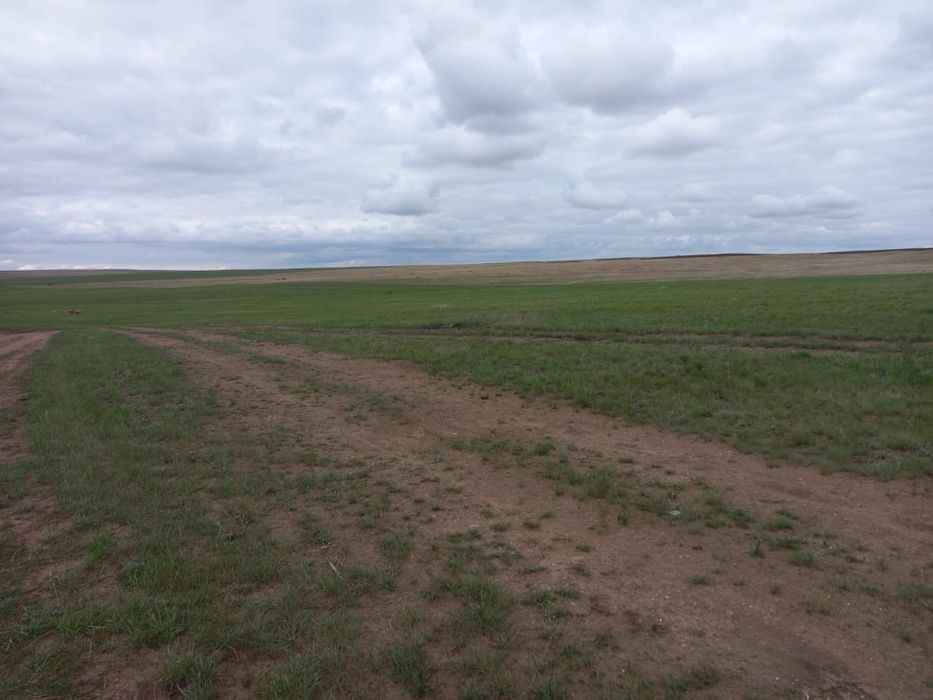 Продается КХ в КРГ