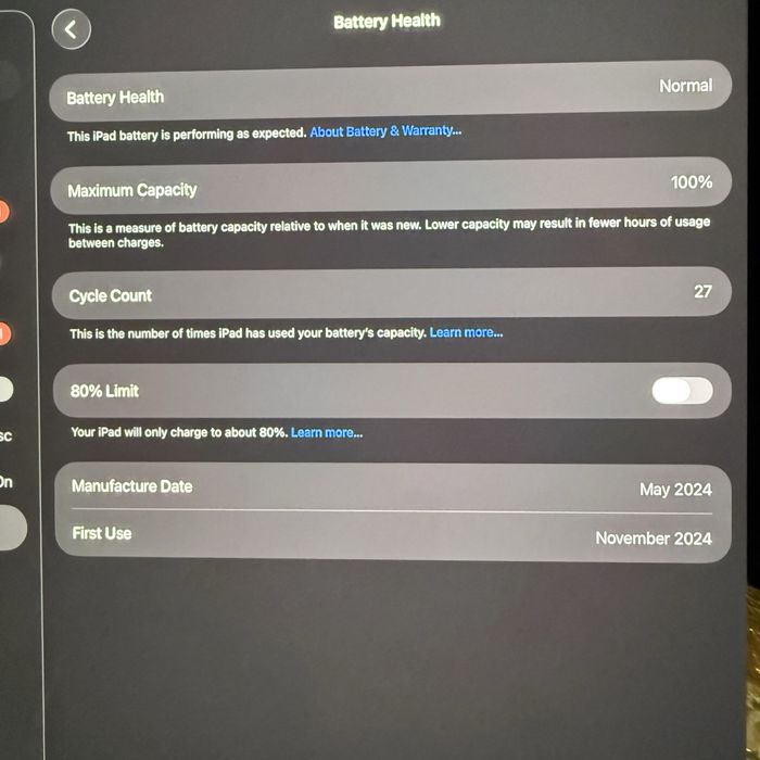 Ipad Pro M4 13 Inch, 256Gb, Wi-Fi, starea bateriei 100%