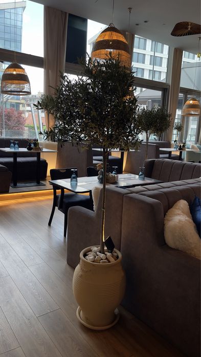 разнообразни кашпи и саксии от гърция/крит