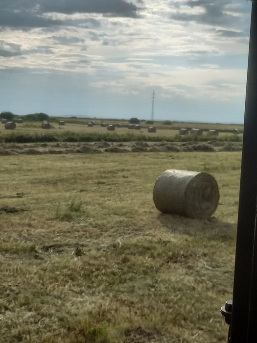 Сено в рулонах 1.20 на 1.20