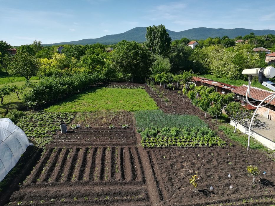 Продава се Къща в с. Миладиновци, Област Ямбол - 475 кв.м за 232 €/кв.м - Снимка #5