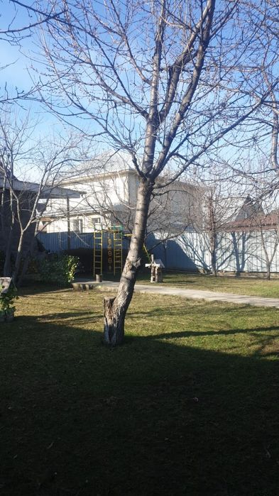 Садовник садовые услуги