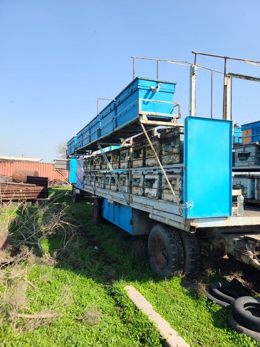 Продаётся пчелоприцеп