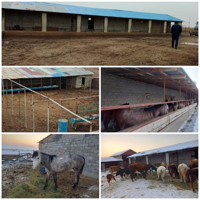 Срочно продам готовый фазенда