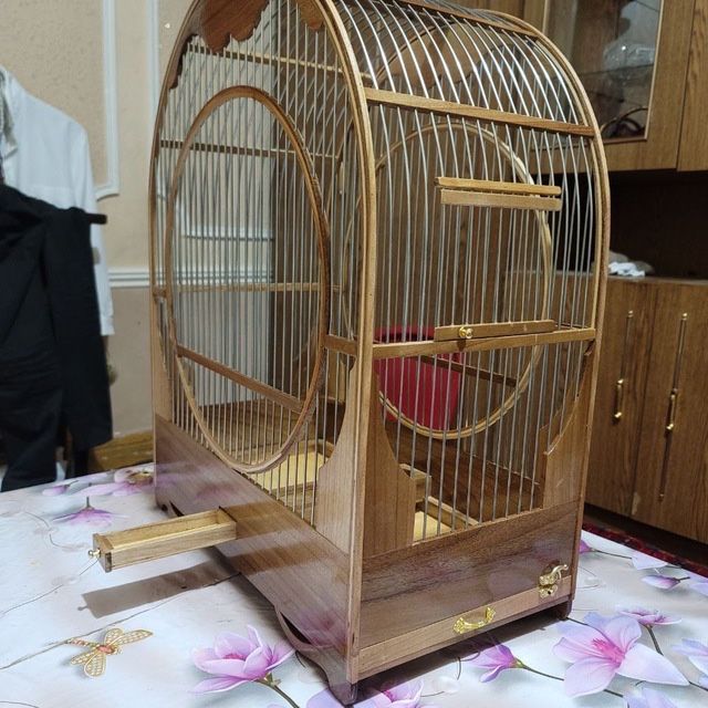 Qush uchun qafas, katak, клетка,